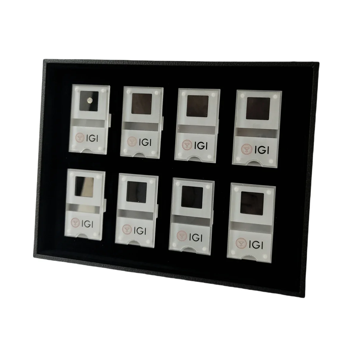 GIA Loose Diamond Storage Disp - Exhibition Caseback ulasan dan harga