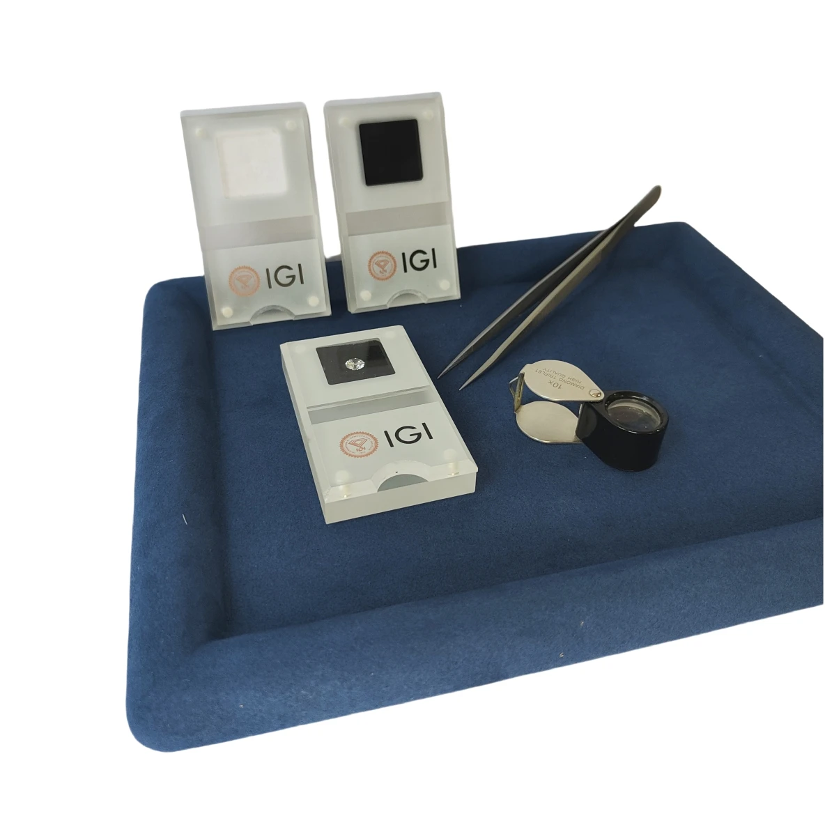 GIA Loose Diamond Storage Disp - Exhibition Caseback ulasan dan harga