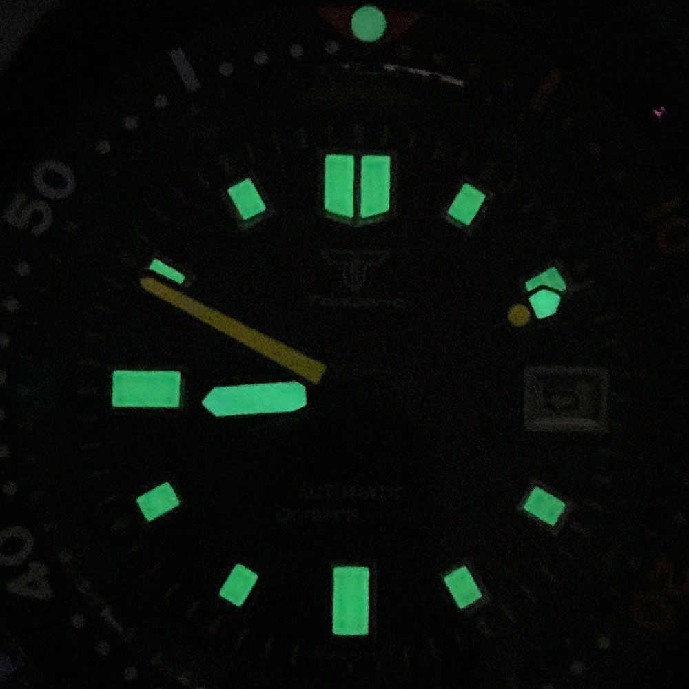 20ATM Tandorio 44mm Turtle 610 - Luxury Watch With Green Dial ulasan dan harga